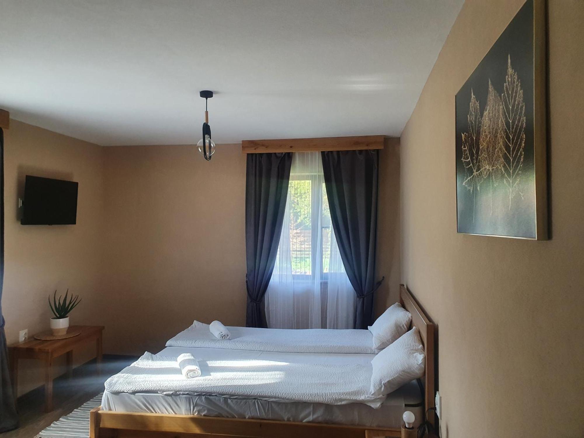 Pensiunea Transilvania Covasna Ruang foto